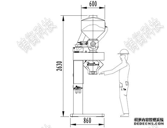 定量草莓视频色版官网色版